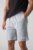 Шорты Everlast EVM296D30-M000 р. 2XL серый