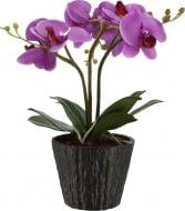 Нічник Globo Flowerpower LED 0,06 Вт рожевий 28003