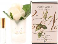 Роза ароматическая Cote Noire бутон Айвори в прозрачном стакане