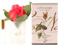 Роза ароматическая Cote Noire бутон Красный в прозрачном стакане