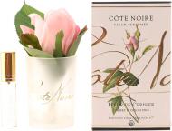 Роза ароматическая Cote Noire бутон Персик в прозрачном стакане