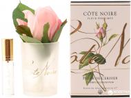 Роза ароматическая Cote Noire бутон Пинк в прозрачном стакане