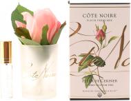 Роза ароматическая Cote Noire бутон Черри в прозрачном стакане