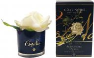 Роза ароматическая Cote Noire бутон Айвори в черном стакане