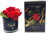 Роза ароматическая Cote Noire бутон Красный в черном стакане