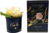 Роза ароматическая Cote Noire бутон Пинк в черном стакане