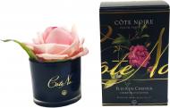 Роза ароматическая Cote Noire бутон Черри в черном стакане
