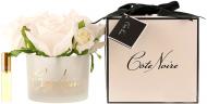 Роза ароматическая Cote Noire Айвори в белой упаковке 5 шт.