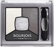 Тени для век Bourjois Smoky Stories № 01 grey & night № 01-серая гамма+серебряный шиммер 3,2 г