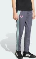 Брюки Adidas Messi Pnt KD6403 р. 9-10YRS разноцветный