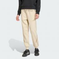 Брюки Adidas W Z.N.E. Pt Crli KC7713 р. M бежевый