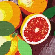 Картина за номерами Кухня 5 25х25 см Rosa Start