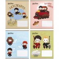 Набір зошитів 12 арк. коса лінія Harry Potter 5 шт. KITE