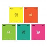 Набір зошитів 48 арк. клітинка One color 5 шт. KITE