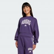 Свитшот Adidas JG CLGT FT SWT JV7379 р.140 фиолетовый Свитшот Adidas JG CLGT FT SWT JV7379 р.140 фиолетовый