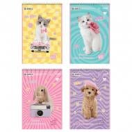 Альбом для рисования 30 лист. SP25-243 Studio Pets KITE