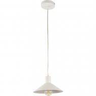 ВІТРИНА! Підвіс Vio Concept VCDS 1x40 Вт E27 MD76652-1 ВІТРИНА! Підвіс Vio Concept VCDS 1x40 Вт E27 MD76652-1