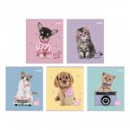 Тетрадь школьная 24 лист. клетка Studio Pets SP25-238 KITE