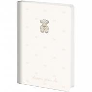 Щоденник датований Partner Elegance Dream Plan Do Axent A5 2027 8835-27-1-A білий