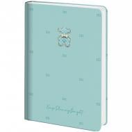 Дневник датированный Partner Elegance Keep shining bright Axent A5 2027 8835-27-3-A зеленый