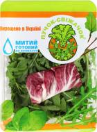 Салат Пучок свіжачок руккола-радичио, 75 г, мягкая упаковка Салат Пучок свіжачок руккола-радичио, 75 г, мягкая упаковка