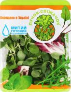 Салат Пучок свіжачок «Маш-радичио», 75 г, мягкая упаковка