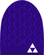 Шапка FISCHER Hat Arosa G31719p р.one size фиолетовый