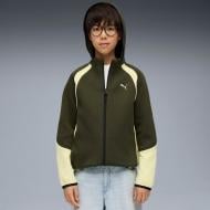 Джемпер Puma EVOSTRIPE FULL-ZIP HOODIE DK B 68886370 хакі