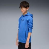 Джемпер Puma SPORT Hoodie FL B 68885713 синий