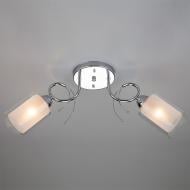 Люстра стельова Strotskis Renee 30122/2 2x60 Вт E27 хром