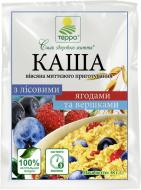 Каша овсяная ТЕРРА со сливками и лесными ягодами 38 г 38 г (1923)