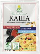 Каша овсяная ТЕРРА со сливками, клубникой и ежевикой 38 г 38 г (1834)