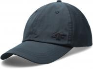 Кепка 4F D4Z20-CAM210-31S L синий