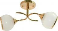 Люстра стельова Геотон 2xE27 золотий НПБ 02-2х60-097 A1759/2