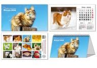 Календар настільний КОЛАЖ «Чарівні улюбленці (коти)» 2026