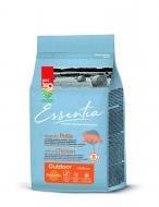 Корм сухой для котов ESSENTIA Grain free outdoor с курицей 300 г
