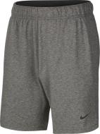 Шорты Nike M NK DRY SHORT HPRDRY LT AT5693-032 р. 2XL серый