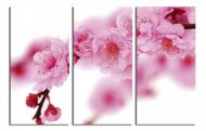 Картина модульная Цветущая сакура 180x120 см WallArt 54358-3.4