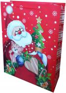 Пакет подарунковий новорічний 18cмх22см Преміум дитячі дизайни Happycom International Пакет подарунковий новорічний 18cмх22см Преміум дитячі дизайни Happycom International
