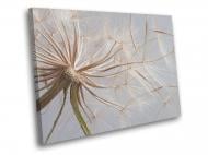 Картина Воздушный одуванчик 40x30 см WallArt 54360-1.1