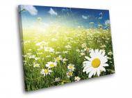 Картина Ромашки 80x60 см WallArt 54361-1.3