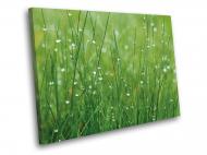 Картина Трава в росе 60x45 см WallArt 54362-1.2 Картина Трава в росе 60x45 см WallArt 54362-1.2