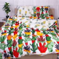 Комплект постельного белья Бязь Ranforce Elite 17-0242 Salyut 2х143х210 см мультиколор MirSon