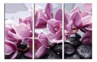 Картина модульная Орхидея 150x100 см WallArt 54363-3.3 Картина модульная Орхидея 150x100 см WallArt 54363-3.3