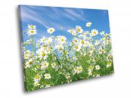 Картина Нежные ромашки 80x60 см WallArt 54366-1.3 Картина Нежные ромашки 80x60 см WallArt 54366-1.3
