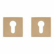 Накладка під циліндр Gavroche Z25-EH (Satin Brass) Накладка під циліндр Gavroche Z25-EH (Satin Brass)