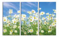 Картина модульная Нежные ромашки 150x100 см WallArt 54366-3.3 Картина модульная Нежные ромашки 150x100 см WallArt 54366-3.3