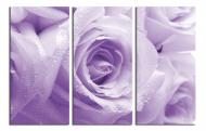 Картина модульная Сиреневая роза 150x100 см WallArt 54367-3.3