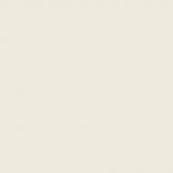 Пример покраски на флизелине образец цвета Eskaro NCS S 0603-G80Y