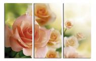 Картина модульная Персиковые розы 120x80 см WallArt 54368-3.2